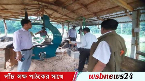 অবৈধ করাতকলে অভিযান মালামাল জব্দ