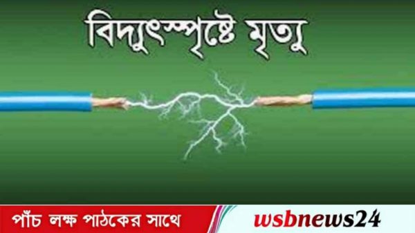 বিদ্যুৎস্পৃষ্টে প্রাণ গেলো এসএসসি পরীক্ষার্থীর