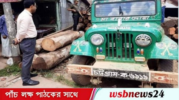 অবৈধ কাঠ জব্দ