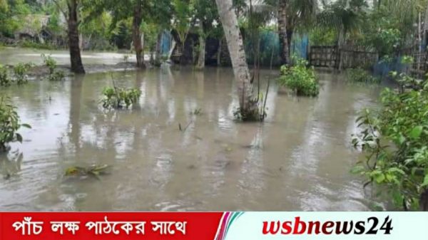 জ্বলোচ্ছাসে প্লাবিত সুন্দরবন নিম্নাঞ্চল।