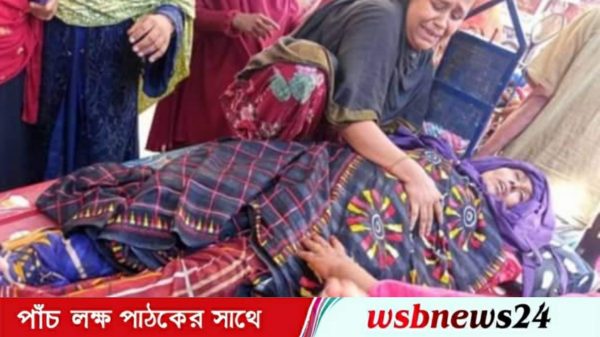 সড়ক দুর্ঘটনায় গৃহবধূ নিহত