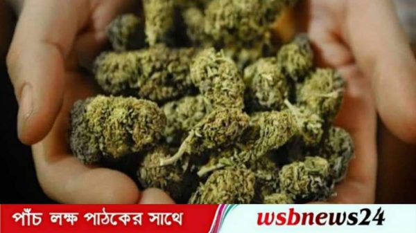 সাবেক ইউপি সদস্যের ছেলে গাঁজাসহ আটক