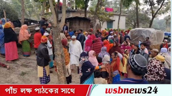 গাংনীতে অগ্নিদগ্ধে বৃদ্ধার মৃত্যু