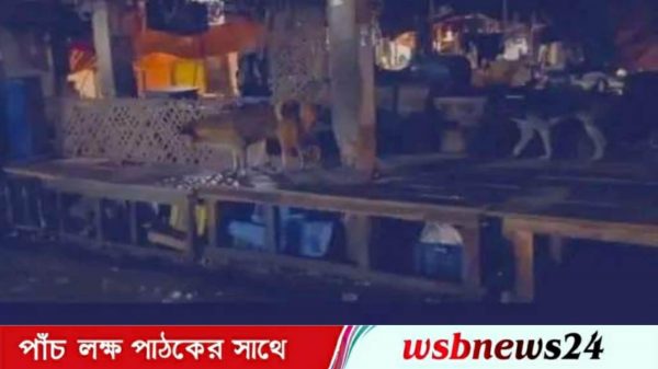 মাংস বিক্রয়ের জায়গায় রাতে কুকুরের আড্ডা