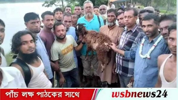 খেলার দাওয়াতী উৎসব সম্পন্ন