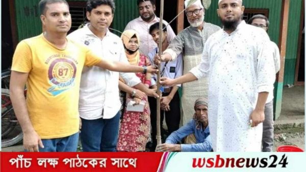 বিশ্ববিদ্যালয়ের উদ্যোগে বৃক্ষ রোপন