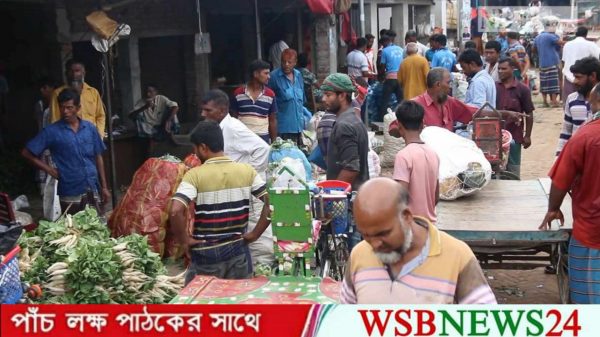 আলু কিনতে হচ্ছে বাড়তি দামে
