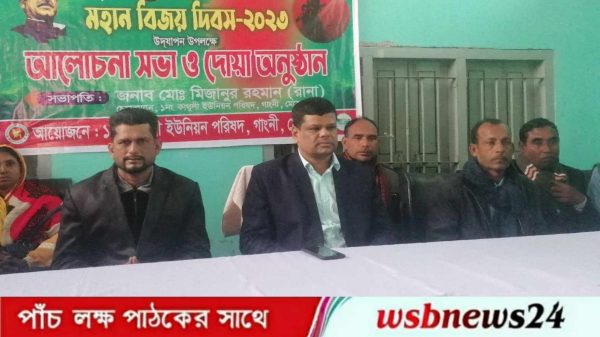 বিজয় দিবস পালন